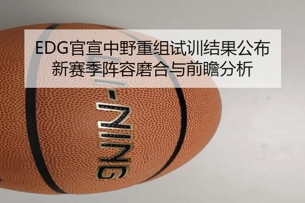 EDG官宣中野重组试训结果公布新赛季阵容磨合与前瞻分析